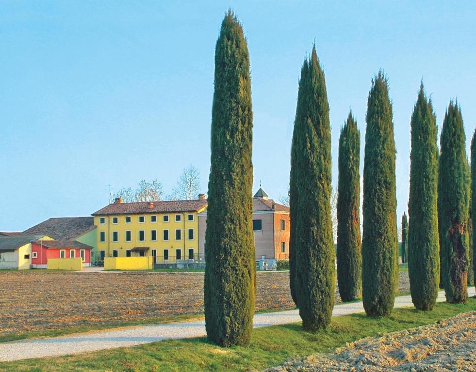Bb Mambrotta Konuk evi San Martino Buon Albergo Dış mekan fotoğraf