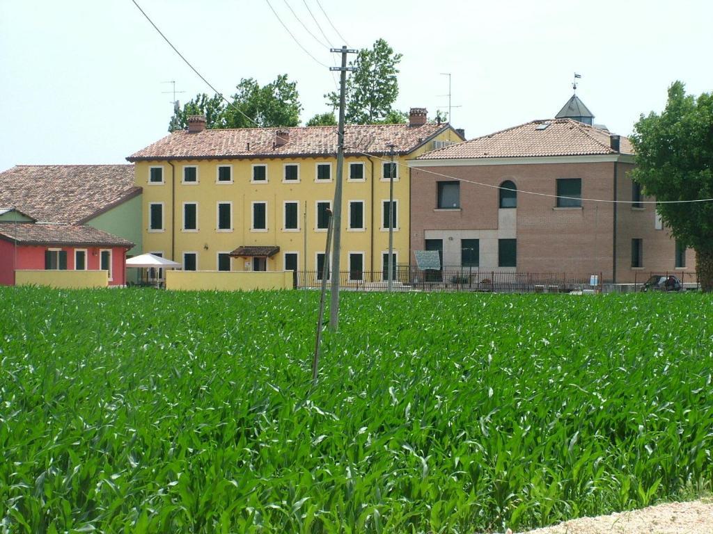 Bb Mambrotta Konuk evi San Martino Buon Albergo Dış mekan fotoğraf
